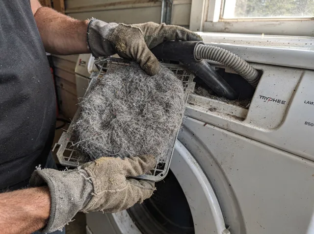 Cleaning Dryer Lint Trap in Arcadia
